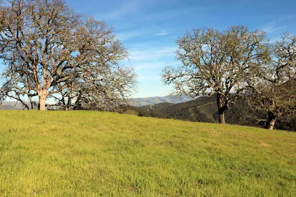 Carmel, CA 93923,5 Black Mountain Trail (Lot 247) Trail