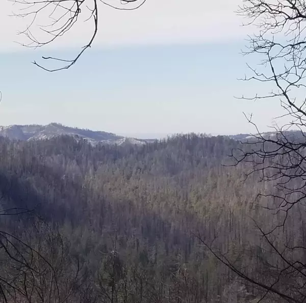 20604 Little Basin Road, Boulder Creek, CA 95006