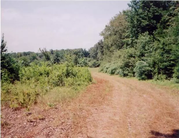 0 Old Nashville Rd., Fairview, TN 37062