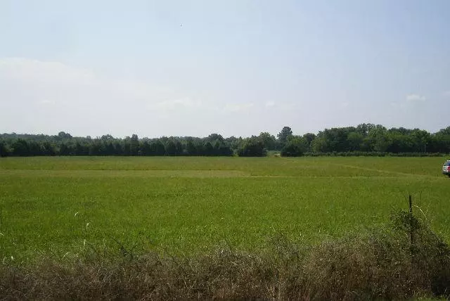 1 PANTHER CREEK RD., Christiana, TN 37037