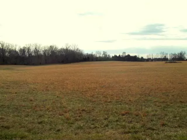 0 Thick Rd, Chapel Hill, TN 37034