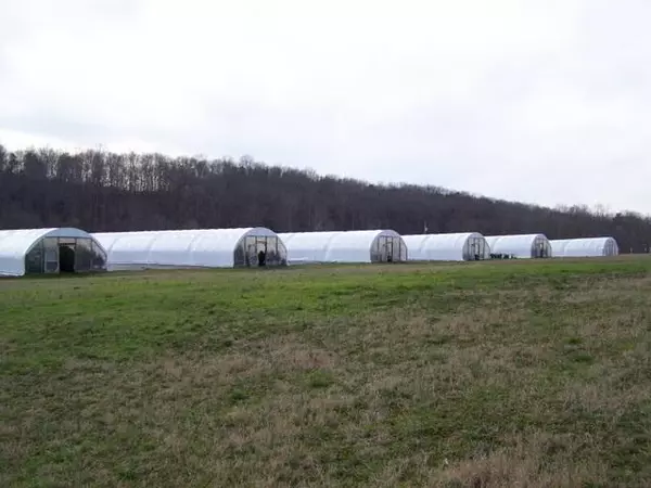 319 Tuck Rd, Mc Minnville, TN 37110