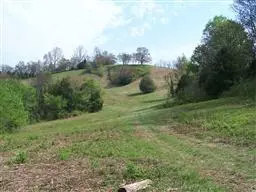 Bell Buckle, TN 37020,0 Happy Valley