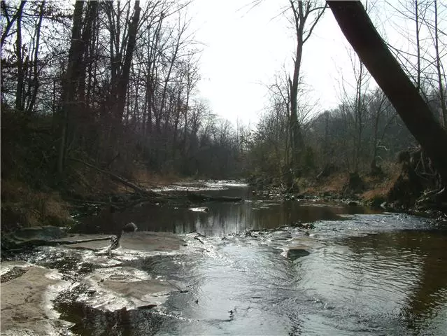 Charlotte, TN 37036,0 Spann Road