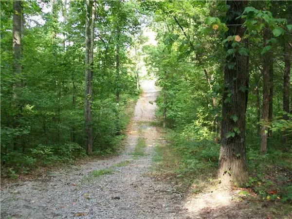 Fairview, TN 37062,0 Black Pine Rd