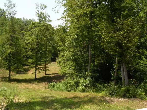 Primm Springs, TN 38476,0 Barnhill Rd