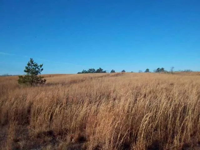 0 Summerlake Dr, Summertown, TN 38483