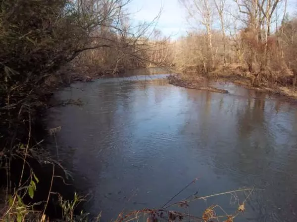 Hohenwald, TN 38462,0 Pine Bluff Rd