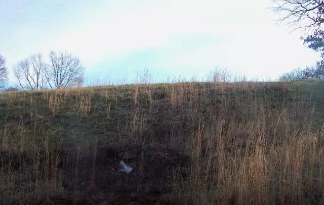 21 Jills Lndg, Winchester, TN 37398