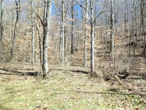 Pegram, TN 37143,0 Indian Springs Rd