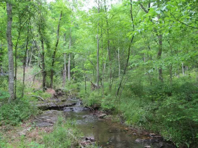 0 Leland Rd, Hohenwald, TN 38462