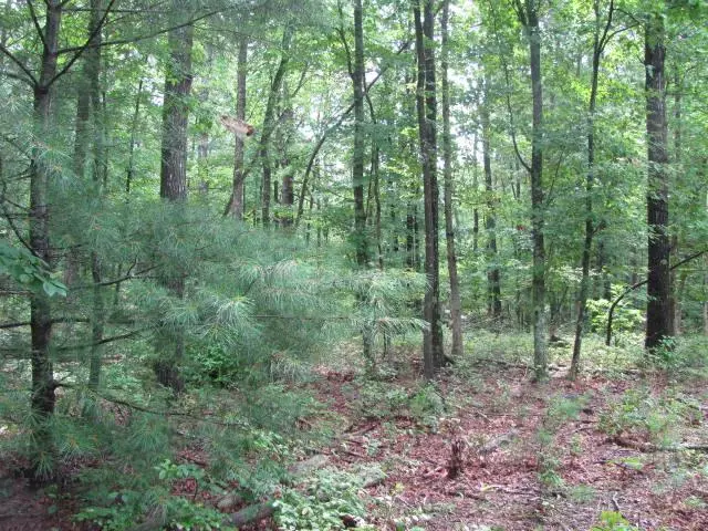 0 Caldwell Rd Off, Sewanee, TN 37375