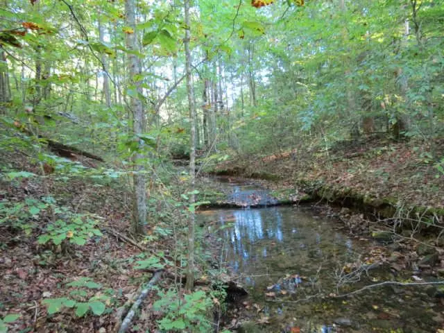 Bon Aqua, TN 37025,0 Sugar Camp Rd