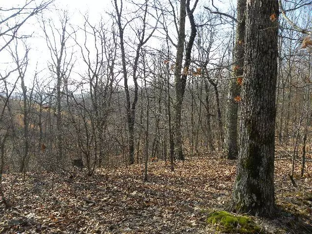 0 Warren Hollow Rd, Waynesboro, TN 38485