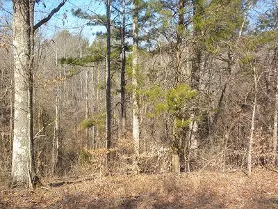 Lynchburg, TN 37352,0 Chestnut Ridge Rd