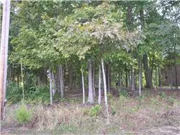 Winchester, TN 37398,0 Golf Shores Dr