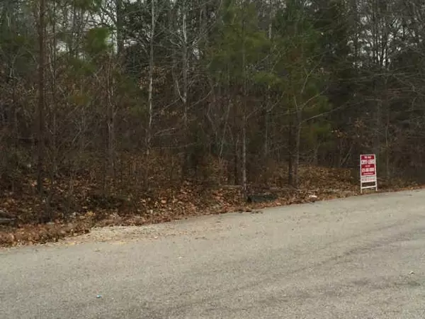 Fairview, TN 37062,0 Juniper Rd lot 6