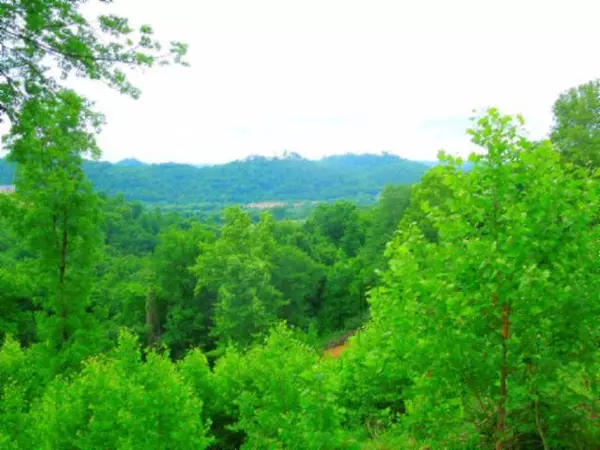 Gainesboro, TN 38562,0 Dycus Landing Lane Lot 5