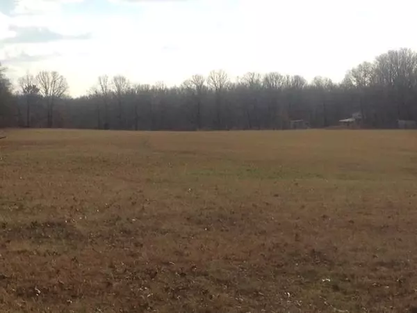 Hohenwald, TN 38462,0 Buffalo Rd