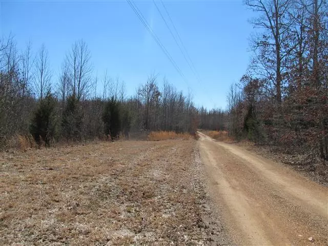 173 Miranda, Hohenwald, TN 38462