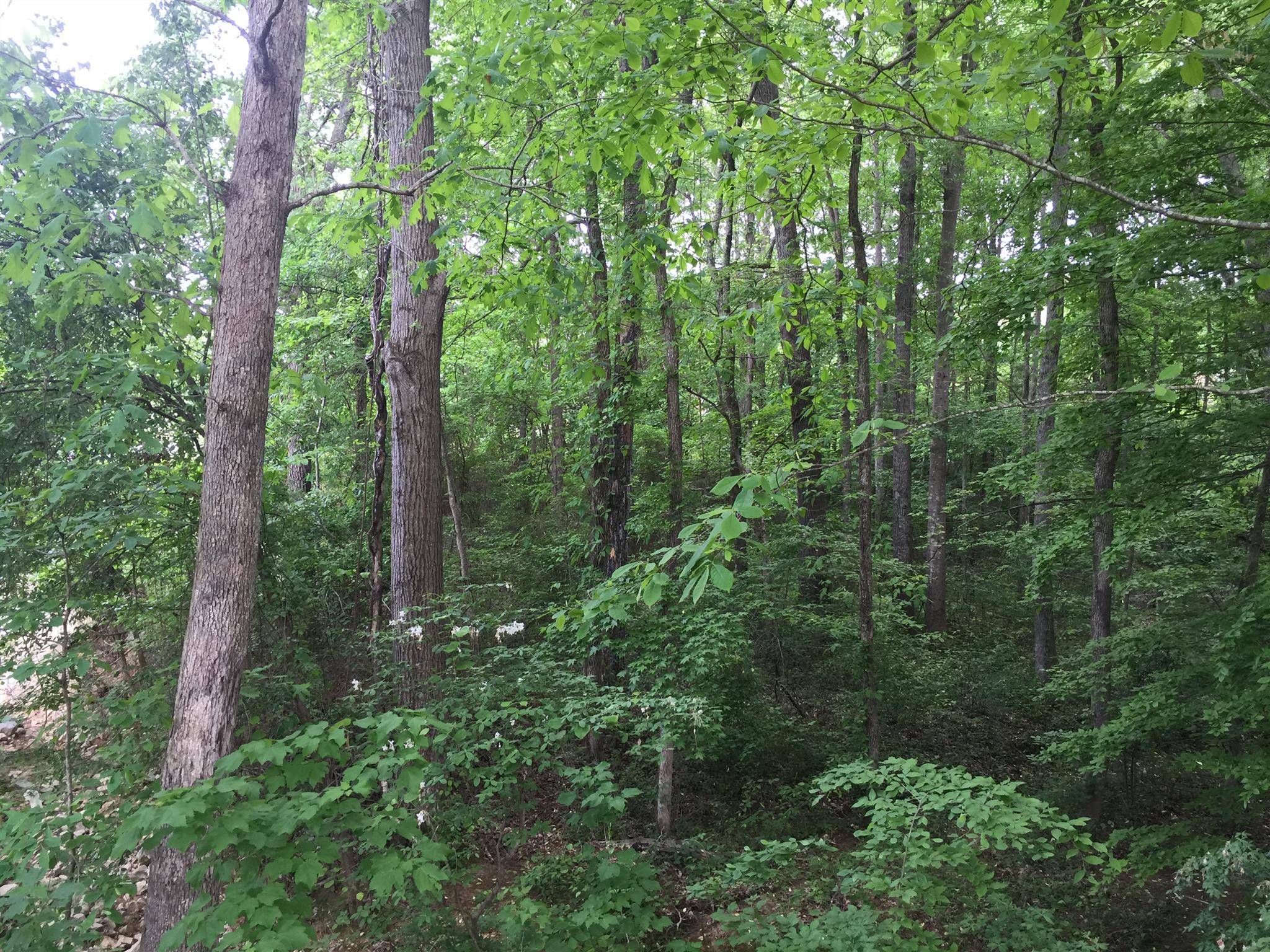 Winchester, TN 37398,3 Country Estates Dr