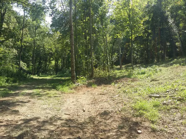 0 Perkins Hollow Rd, Bradyville, TN 37026