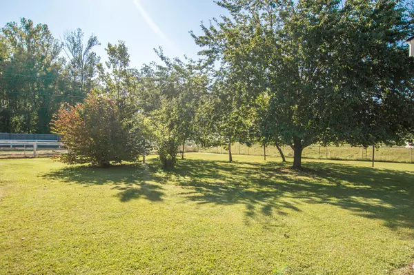 Bradyville, TN 37026,156 McBride Ln