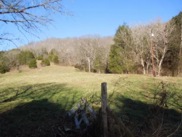 48 .99 Ac. Webster Branch Ln, Whitleyville, TN 38588