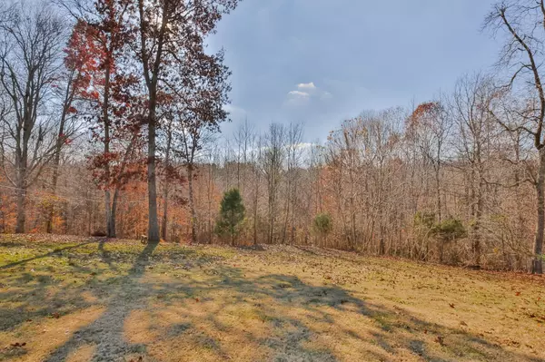 Pleasant View, TN 37146,2014 Copper Kettle Circle