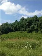 4540 BRICK CHURCH PIKE, Whites Creek, TN 37189