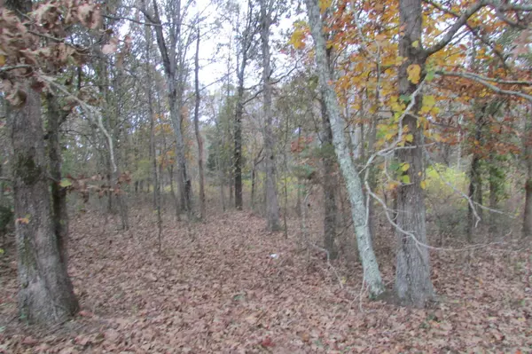 0 Woodduck Rd, Lot 15, Summertown, TN 38483