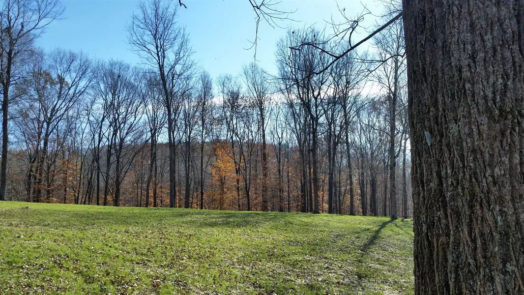 1 BARNHILL RD - LOT #1, Primm Springs, TN 38476