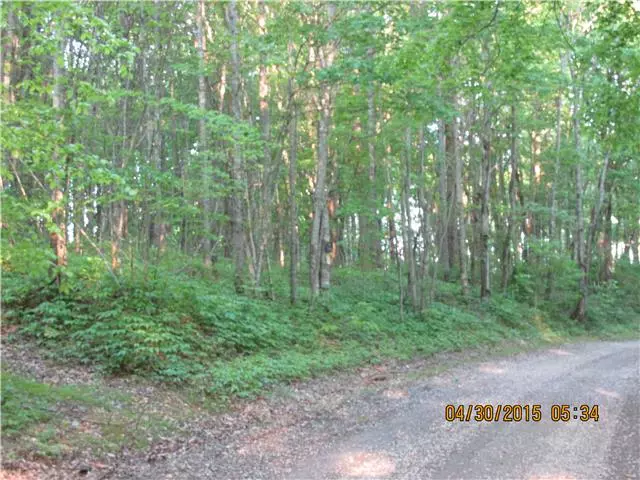 0 Public Well Road, Pleasant Shade, TN 37145