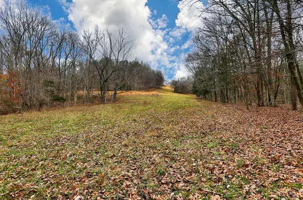 Ardmore, TN 38449,0 Ardmore Ridge Rd