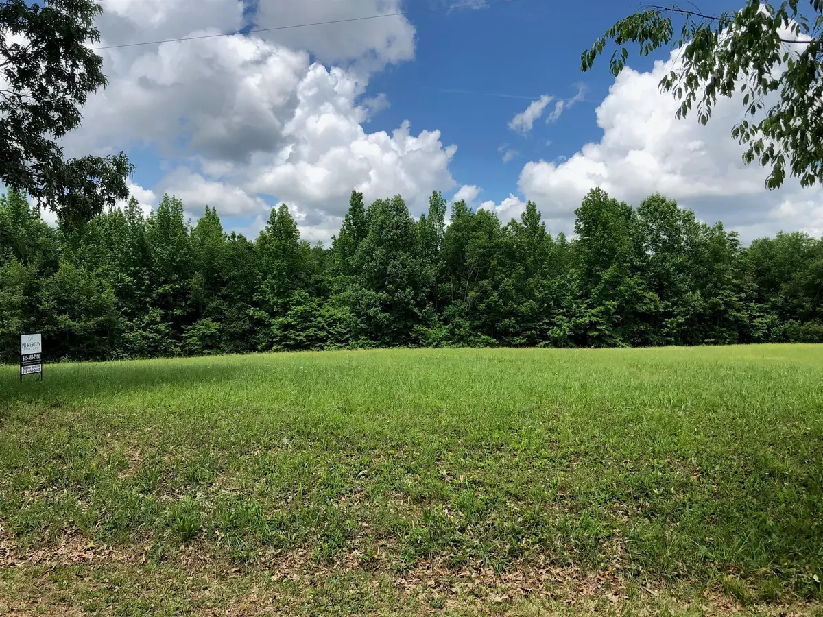 Winchester, TN 37398,0 Marble Plains Rd LOT 4