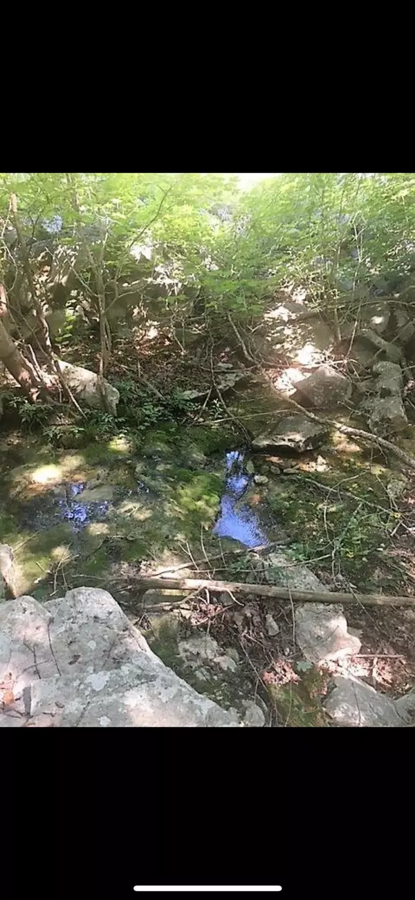 Belvidere, TN 37306,0 Buncombe Rd