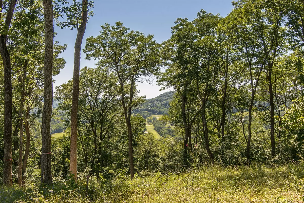 Brentwood, TN 37027,1792 Woodsong Dr (Lot #43)