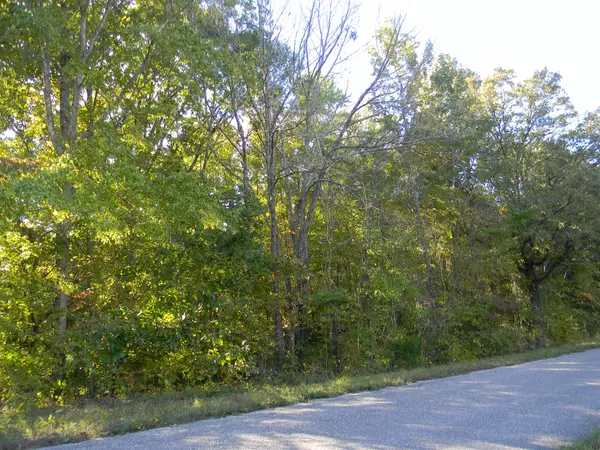 Primm Springs, TN 38476,0 Calvin Potts Rd Tract #1