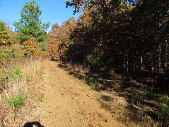 Hohenwald, TN 38462,0 Grouse Cv