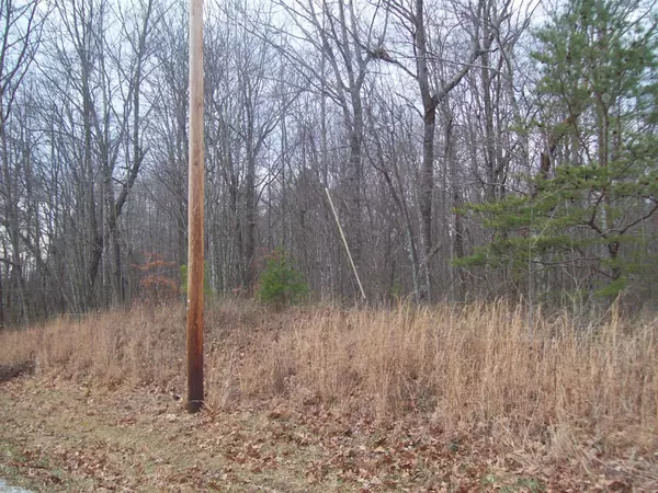 Belvidere, TN 37306,0 Keith Springs Mtn Rd