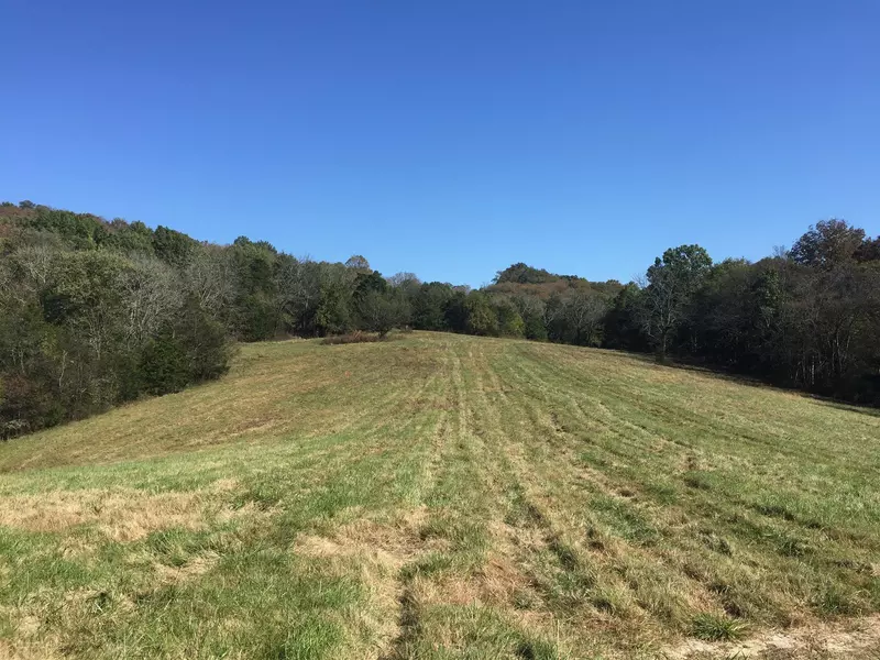 0 Hickerson Road, Wartrace, TN 37183