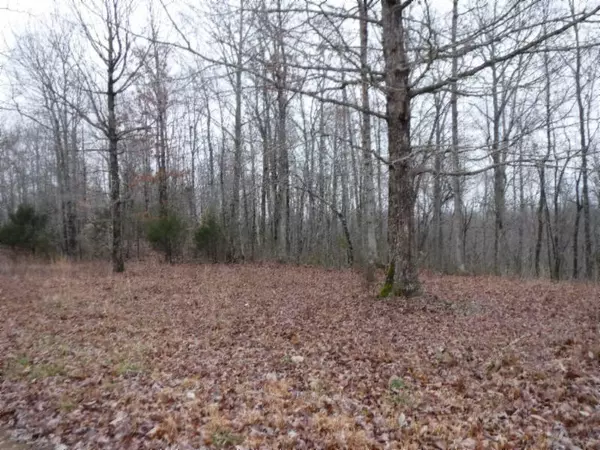 Celina, TN 38551,9 Backwoods Trails Lane