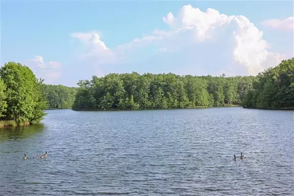 145 Lake Louisa Loop, Monteagle, TN 37356