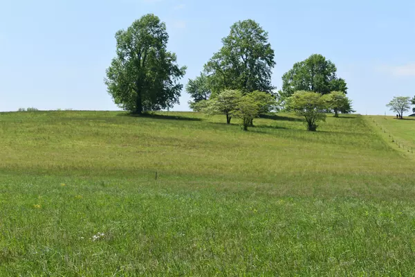 1661A Rock Bridge Rd,  Bethpage,  TN 37022