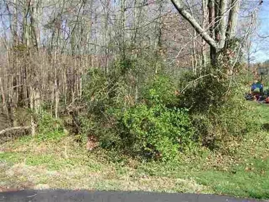 0 Timberlane, Tract 1, Franklin, KY 42134