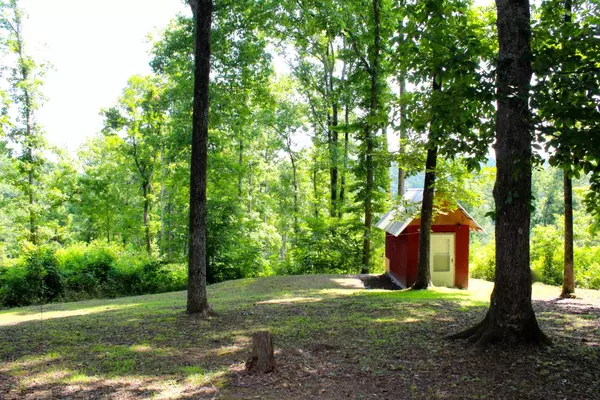 Centerville, TN 37033,917 Bear Creek Run