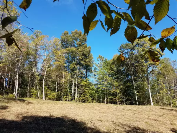 Primm Springs, TN 38476,4 POPLAR RIDGE - LOT #4