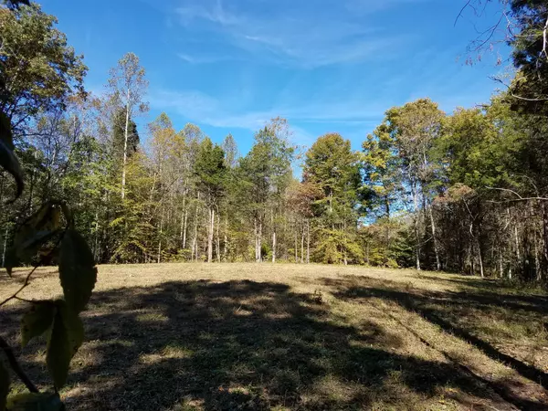 Primm Springs, TN 38476,4 POPLAR RIDGE - LOT #4