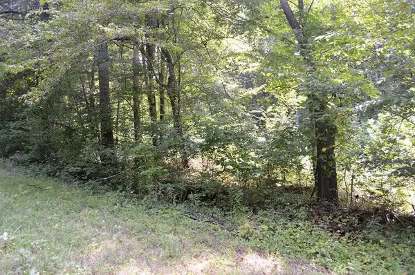 Belvidere, TN 37306,0 Neal Rd