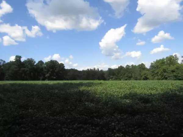 Lafayette, TN 37083,22 .90ac  Rodgers Ln